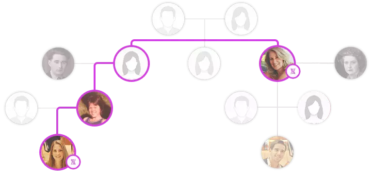 DNA 亲属匹配的谱系示意